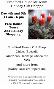 holiday shopping flyer